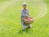 Xuất khẩu phân bón tăng 166%, sắp vượt 1 tỉ USD