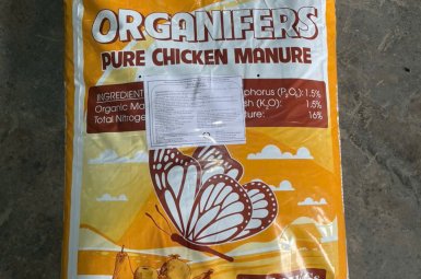 HỮU CƠ GÀ HÀ LAN & BỈ